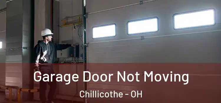  Garage Door Not Moving Chillicothe - OH