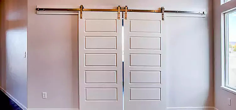 Glass Barn Door with Installation Hardware Kit Chillicothe